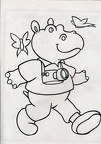 Hippopotame touriste(NOT0467)