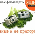 Calendrier : Yashica - 1998(NOT0506)