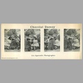 Chromo : Les apprentis photographes (chocolats Damoy)<br />(NOT0689)