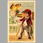 Chromo : « Le papillon » (La Belle Jardinière)(NOT0810)
