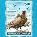 Pigeon voyageur (Niger) - 2014<br />(PHI0712)
