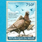 Pigeon voyageur (Niger) - 2014(PHI0712)