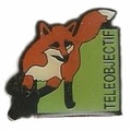 Teleobjectif (renard)<br />(PIN0751)