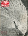 _double_ REV-PR1952-04 0a