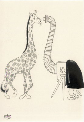 Girafes, dessin de Dubout(CAP0089)