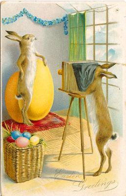 Lapin photographe : « Easter Greetings »(CAP0485 0a)