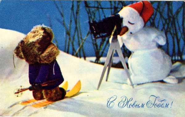 Bonhomme de neige photographiant un ourson sur ses skis(CAP1195)