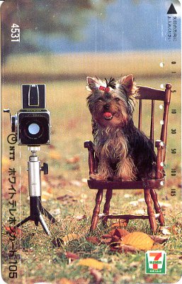 Télécarte : Hasselblad avec un chien
PHI0536
-
Pays : Japon
Organisme : NTT
Date : ?
Montant : 105 unités
Nb ex. : ?
Dimensions : 54 x 86 mm
Réf : 105
- EAN : 4 955595 200112 (NTT)
N° de série : 4531 (?)
Commentaires : -
PHI0536_01.jpg