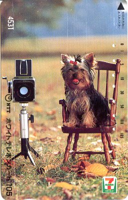 Télécarte : Hasselblad avec un chien(PHI0536)