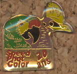 PIN0368.jpg