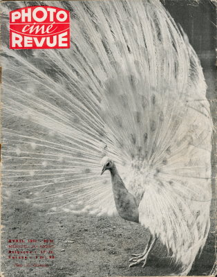 REV-PR1952-04