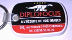 Diplofocus(GAD0083)